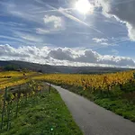 Rote Terlinden *