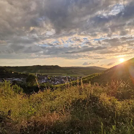 Rote Terlinden * Lieser