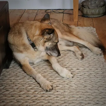 Rote Terlinden Casa de Férias *