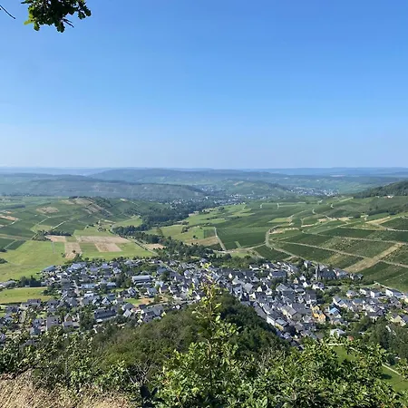 Dom wakacyjny Rote Terlinden *