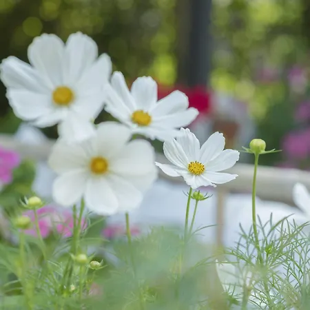 Rote Terlinden Feriehus *
