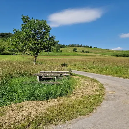 Dom wakacyjny Rote Terlinden