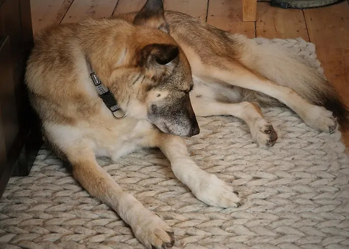 Rote Terlinden Ferienhaus *