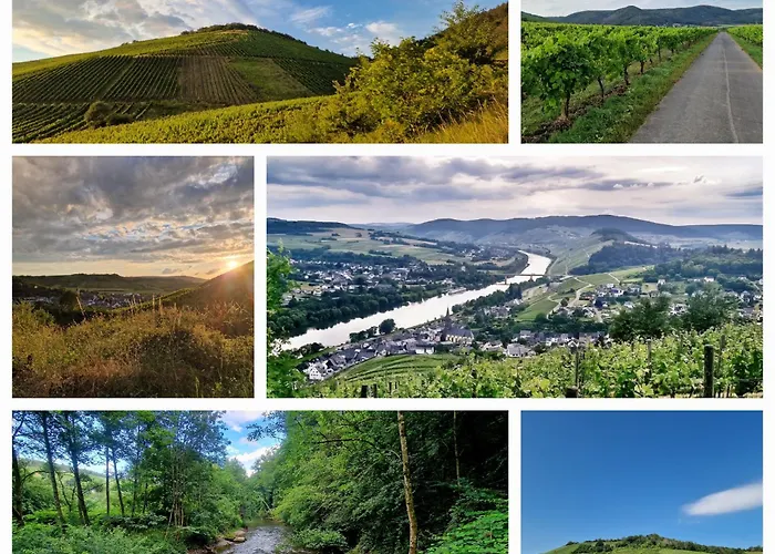 Rote Terlinden Ferienhaus